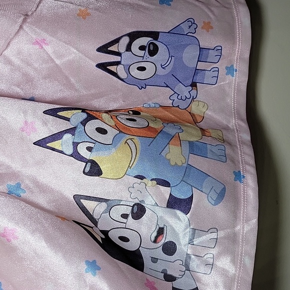 Bluey Nightgown /Pink Silky Dress-Up Pajamas / NWOT Size 5T - Picture 5 of 10